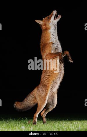 La città volge attraverso la primavera Foto Stock