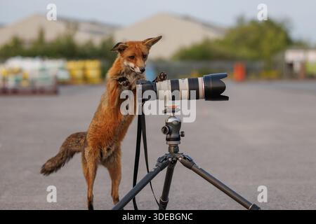 La città volge attraverso la primavera Foto Stock