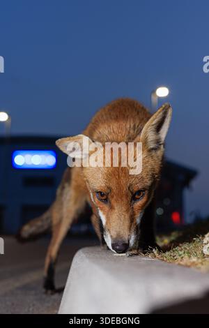 La città volge attraverso la primavera Foto Stock