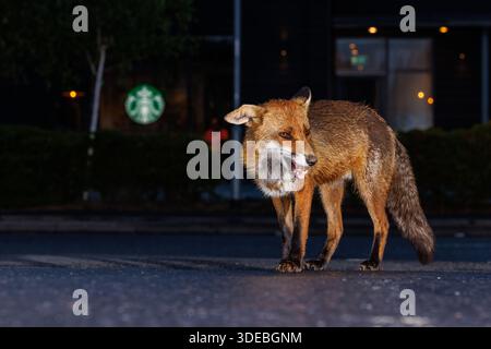 La città volge attraverso la primavera Foto Stock