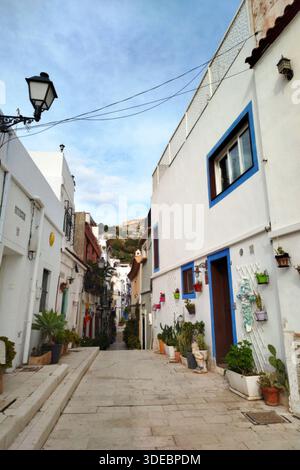 Stretta strada acciottolata fiancheggiata da edifici imbiancati e vasi di fiori colorati Foto Stock