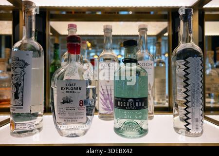 Una collezione curata di bottiglie mezcal messicane di alta qualità, con etichette artigianali e di piccole dimensioni, esposte in modo elegante. Foto Stock