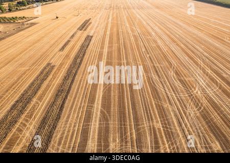 Vista aerea dei campi di grano dorato modellati con tracce scure, che si estendono verso l'orizzonte sotto il sole caldo, Silistra, Bulgaria. Foto Stock