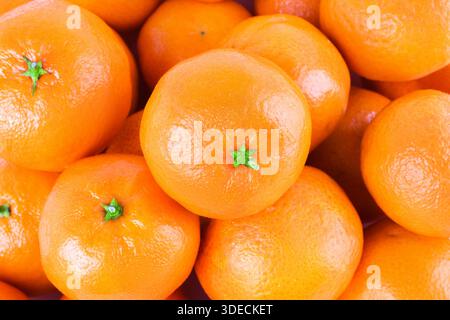 Sfondo della vista superiore dei mandarini maturi freschi. Primo piano di molte arance mandarine organiche con una texture brillante. Foto di alta qualità Foto Stock