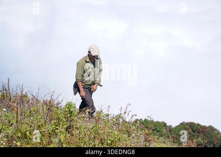 Un uomo che indossa un cappello e una camicia cachi cammina attraverso l'erba alta su una collina contro un cielo nuvoloso e luminoso, guardando verso il basso. Foto Stock