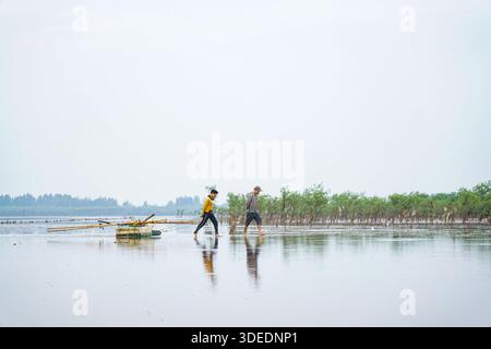 Coastal fishermen engage in traditional sea fishing, pulling their catch through shallow waters, showcasing a unique livelihood. Foto Stock