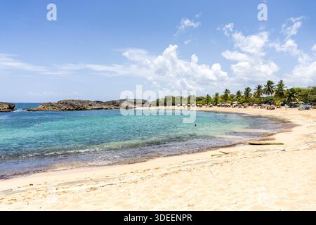Strand Mar Chiquita Beach in der Karibik Urlaub am Meer a Manati, Porto Rico Manati, Porto Rico - 3. Agosto 2025: Spiaggia Strand Mar Chiquita a der Karibik Urlaub am Meer a Manati, Porto Rico. *** Spiaggia Mar Chiquita Spiaggia nei Caraibi vacanza al mare a Manati, Puerto Rico Manati, Puerto Rico 3 agosto 2025 Spiaggia Mar Chiquita Spiaggia nei Caraibi vacanza al mare a Manati, Porto Rico Foto Stock