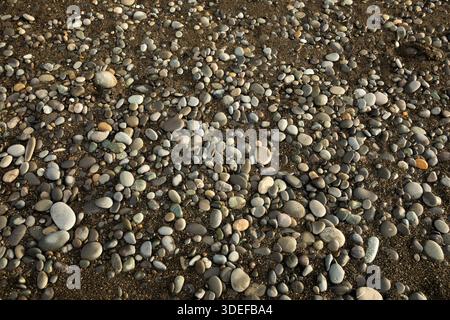 WA28830-00...WASHINGTON - rocce levigate dalla sabbia e dalle maree su una spiaggia sulla costa del Pacifico, l'Olympic National Park. Foto Stock