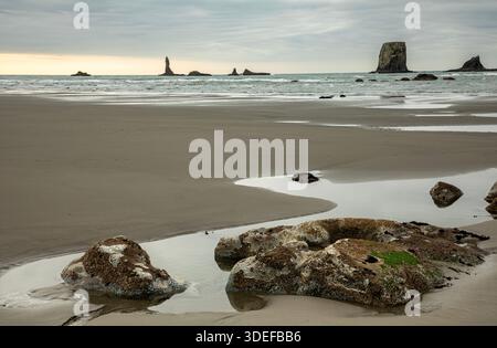 WA28838-00...WASHINGTON - pile di mare della costa a Second Beach sulla costa del Pacifico nell'Olympic National Park. Foto Stock