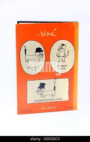 Vintage Hardback Book Scatty Cat by Sine Foto Stock