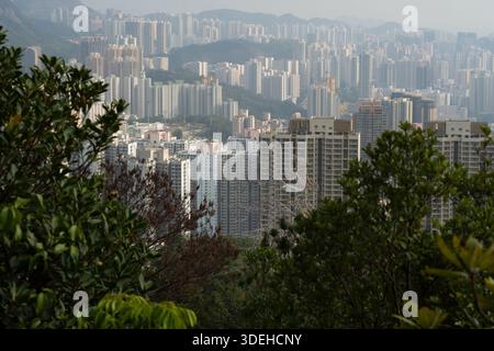Vista del fitto paesaggio urbano di Hong Kong da una collina, con torri e infrastrutture residenziali. Foto Stock