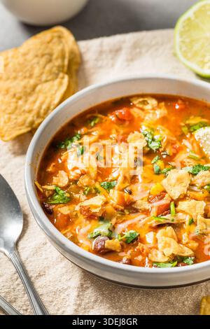 Saporita zuppa di tortilla di pollo fatta in casa con fagioli e mais Foto Stock