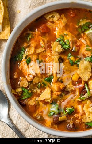 Saporita zuppa di tortilla di pollo fatta in casa con fagioli e mais Foto Stock