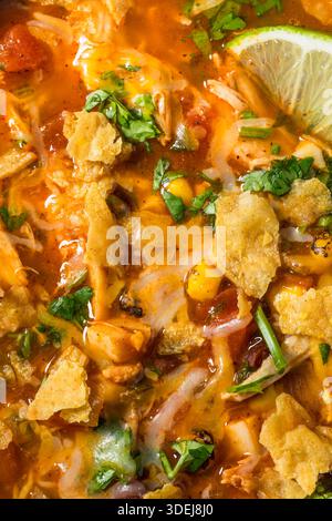 Saporita zuppa di tortilla di pollo fatta in casa con fagioli e mais Foto Stock