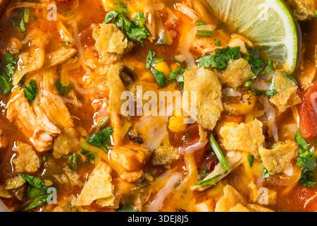 Saporita zuppa di tortilla di pollo fatta in casa con fagioli e mais Foto Stock