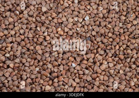 Primo piano di semole di grano saraceno sfuse, chicchi densi in grandi pali che suggeriscono l'uso di stoccaggio e imballaggio, shot di materie prime texturerich per alimenti Foto Stock