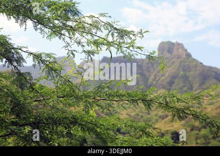 Picos o montagne sull'isola di Santiago, Cabo Verde, Isole Capo Verde, Cap Vert Foto Stock