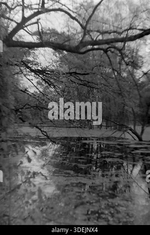 Regione di Donetsk, RSS Ucraina, Unione Sovietica, anni 1960 Un paesaggio suggestivo caratterizzato da una foresta isolata o da una palude nel bacino di Seversky Donets. La superficie dell'acqua ferma è pesantemente coperta da erba anatra verde, intervallata da riflessi del cielo e degli alberi. Tronchi scuri e rami sporgenti in primo piano incorniciano la scena, creando un senso di profondità e mistero. L'immagine ha una messa a fuoco morbida e una grana tipica dell'epoca. Questa foto d'archivio cattura la tranquilla e selvaggia bellezza della natura nel tranquillo Donbas. Foto Stock