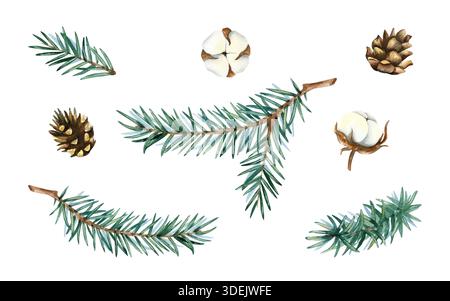 Set di acquerelli natalizi con ramoscello di abete, fiori di cotone bianco, cono di pino. Ramoscello di abete sempreverde. Illustrazione clip art disegnata a mano isolata da Foto Stock