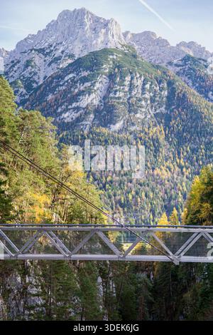 Un ponte pedonale in metallo attraversa una profonda gola circondata da fitte foreste di conifere e pendii rocciosi di montagna. Foto Stock