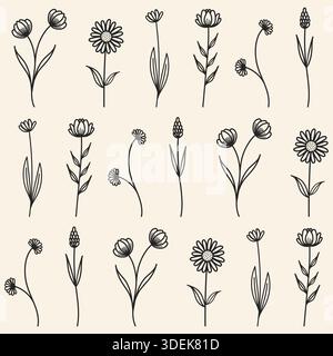 Motivo floreale senza cuciture con fiori selvatici disegnati a mano ed eleganti disegni a linee nere su sfondo beige. Illustrazione Vettoriale