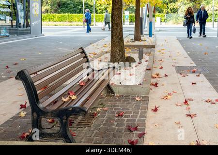 Abano Terme, Italia - 29 ottobre 2025: Foglie autunnali sparse intorno a una panchina mentre i pedoni camminano lungo la strada Foto Stock