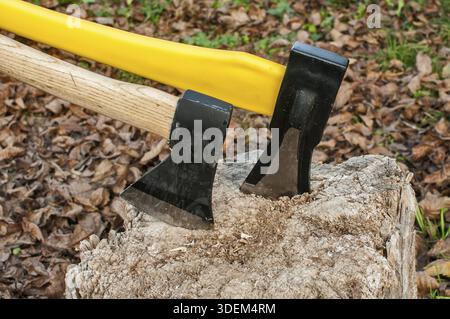 A due assi con lame in acciaio bloccati nel vecchio ceppo in autunno foglie secche sfondo Foto Stock