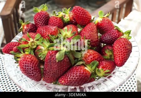 Recipiente di vetro pieno di fragole fresche da vicino Foto Stock
