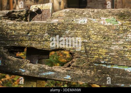 Grunge in legno intemprato sul retro della vecchia panchina Foto Stock