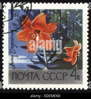 URSS - CIRCA 1969: Timbro stampato in URSS, mostra giglio rosso Foto Stock