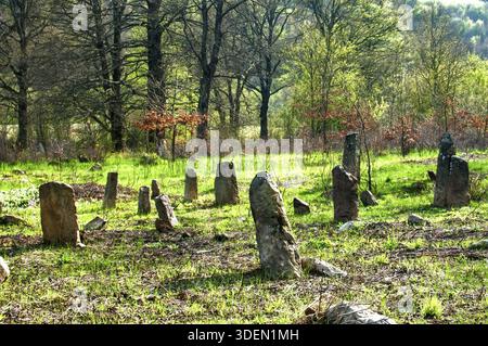 Scena di vecchio abbandonato cimitero musulmano di lapidi in campo di campagna Foto Stock