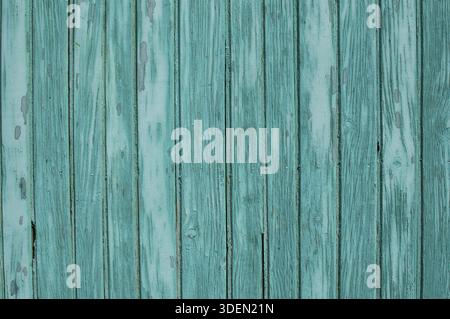 Vecchio weathered grunge dipinte di verde di tavole di legno parete closeup come sfondo Foto Stock