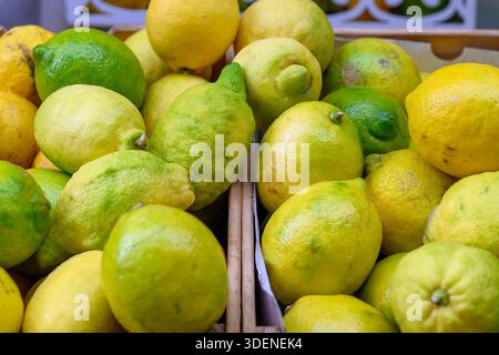 Limoni della Costiera Amalfitana in vendita in via Lorenzo D'Amalfi. Meno acidi li rendono eccellenti per piatti dolci e salati o per Granitas e Spritz. Foto Stock