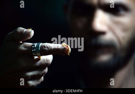 Un uomo sta mostrando la lavorazione della verdura da mealworm, a Karachi giovedì 8 gennaio 2026. I vermi da manzo sono le larve del coleottero scuro (Tenebrio molitor). Si tratta di insetti piccoli, cilindrici, giallastro-bruni ampiamente utilizzati come mangimi nutrienti per pollame, pesci, uccelli, rettili e animali domestici. A causa del loro elevato contenuto di proteine e grassi, i vermi sono considerati un ottimo mangime naturale che supporta una crescita rapida, una migliore salute e una migliore produttività degli animali. Foto Stock