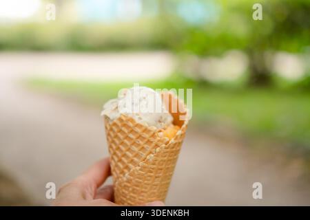 Un primo piano di cremoso gelato alla vaniglia in un cono croccante di waffle, tenuto in mano in una giornata di sole. L'immagine cattura la gioia rinfrescante di godersi una dolce sorpresa all'aperto. Foto Stock