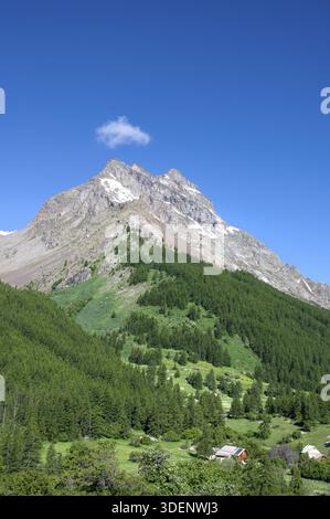 Livelli di altitudine delle montagne, mostrati con un versante montano con fitte foreste di conifere e una piccola collezione di chalet alpini nella valle, domin Foto Stock