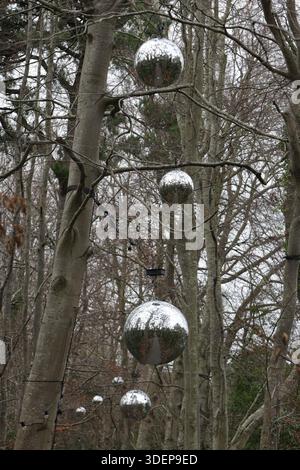 Dublino, Irlanda - 31 dicembre 2025: Grandi palle da disco d'argento riflettenti viste appese sopra gli alberi nel Marlay Park a South Dublin in un pomeriggio asciutto di Capodanno nella capitale irlandese Foto Stock