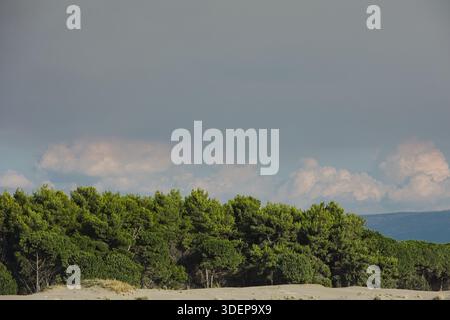 Un'ampia vista panoramica vicino a Valona, Albania, catturata il 25 agosto 2025. La fitta pineta verde si estende in primo piano Foto Stock
