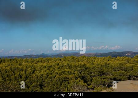 Un'ampia vista panoramica vicino a Valona, Albania, catturata il 25 agosto 2025. La fitta pineta verde si estende in primo piano Foto Stock