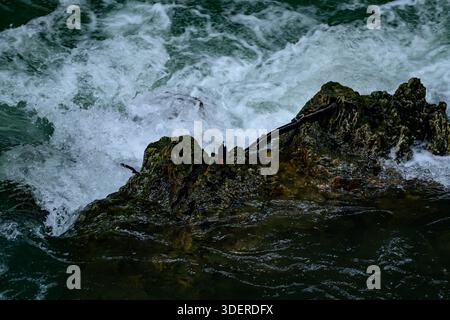 Le cascate multiple si tuffano nel profondo Canyon delle Malinghe, dove un lussureggiante fiume color smeraldo scolpito attraverso formazioni rocciose a strati. Foto Stock