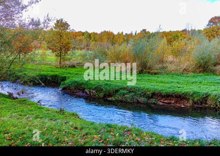 Absbroekbos Conservation area con il fiume Geleenbeek che scorre attraverso il verde prato nel paesaggio autunnale, alberi di verde giallastro sullo sfondo, da inverno Foto Stock