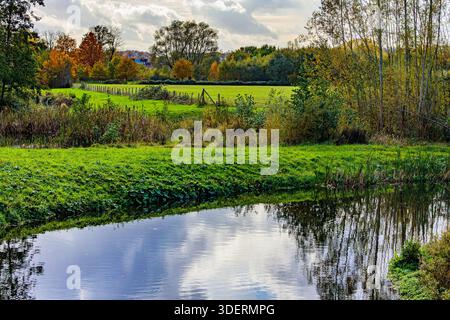 Prato nel paesaggio autunnale nella zona di conservazione di Absbroekbos, fiume Geleenbeek che scorre in primo piano, alberi giallastri e appezzamenti sullo sfondo, Foto Stock