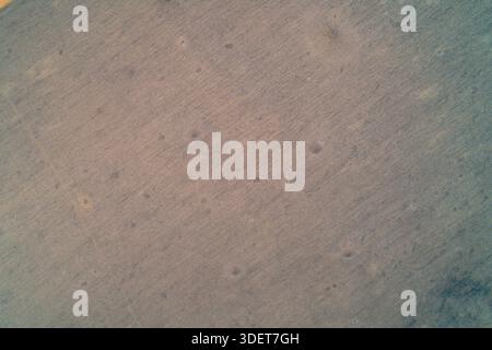 Una consistenza uniforme di erba marrone secca copre il terreno, creando un motivo monocromatico minimalista. La vegetazione densa e appassita assomiglia a una superficie ruvida del tessuto o al rumore organico, che funge da sfondo neutro per il design ambientale. Foto Stock