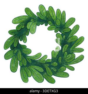 Corona di Natale fatta di rami di abete. Illustrazione ad acquerello disegnata a mano, cartone animato. Design per adesivi, carte, inviti. Vacanza, verde, elemento Foto Stock