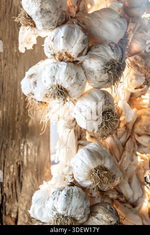 Treccia rustica di aglio organico essiccato appeso su travi di legno, stoccaggio tradizionale di cibo in fattoria e consistenza naturale Foto Stock