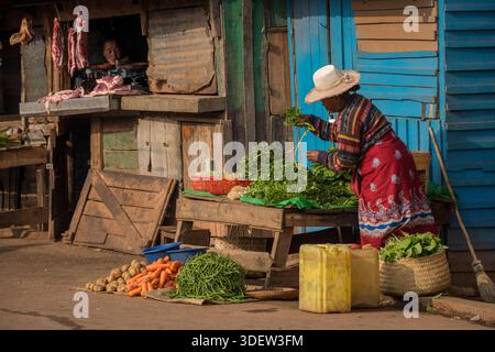 Donna malgascia che vende verdure per strada. Antsirabe, Madagascar. Il vending di strada è una parte cruciale dell'economia informale, fornendo una fonte essenziale di reddito per molte donne che devono affrontare sfide nell'accesso al lavoro formale e al credito. Questi mercati locali e bancarelle informali sono fondamentali per garantire la sicurezza alimentare e consentire agli agricoltori locali di vendere i loro prodotti direttamente ai consumatori. Questa scena mette in luce lo spirito imprenditoriale e il duro lavoro delle donne malgasce, che sono la spina dorsale della catena alimentare locale, nonostante la povertà diffusa e le difficoltà economiche. Foto Stock