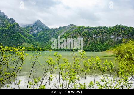Paesaggio del lago Offensee in una giornata di pioggia in primavera, Salzkammergut, Austria, Europa Foto Stock