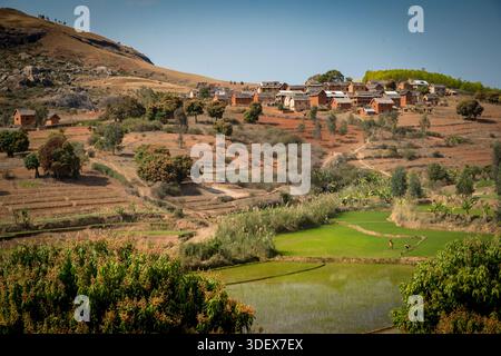 Due donne malgasce sono impegnate al lavoro, catturate a metà attività in una rigogliosa e verde risaia sotto il loro villaggio tradizionale sulla strada tra Ambalavao e Nomoly, Madagascar. Questa immagine mette in evidenza la natura ad alta intensità di lavoro dell'agricoltura del riso, la linfa vitale delle comunità rurali degli altopiani malgasci. Il loro lavoro nelle risaie terrazzate è una scena per antonomasia della vita quotidiana e del sostentamento in questa regione fertile. Da Ambalavao a Nomoly Road, Madagascar. Foto Stock