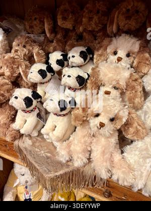 Collezione di cuccioli e bulldog di peluche su uno scaffale di legno in una boutique di giocattoli. Foto Stock
