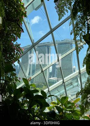 Marina Bay Sands seen through lush greenery and glass panels at Gardens by the Bay in Singapore. Foto Stock